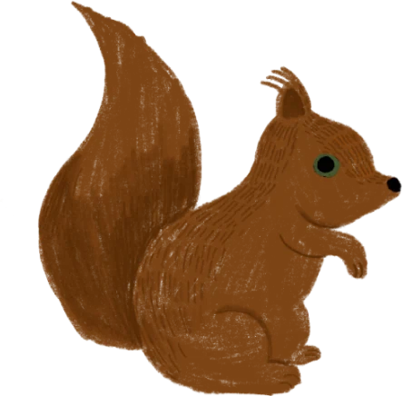 белка